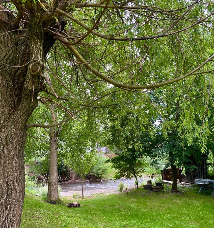 Cazare in Praid - PENSIUNEA SOVIRAG - Praid Cazare in Praid - PENSIUNEA SOVIRAG - Praid