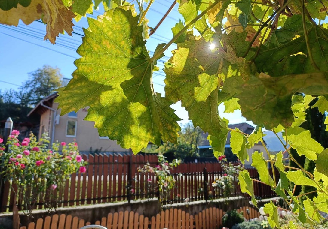 Cazare in Praid - PENSIUNEA LASKI - Praid Cazare in Praid - PENSIUNEA LASKI - Praid